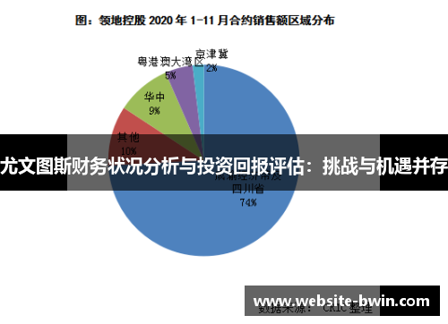 尤文图斯财务状况分析与投资回报评估：挑战与机遇并存