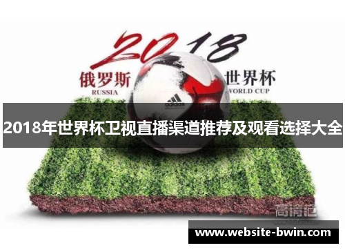 2018年世界杯卫视直播渠道推荐及观看选择大全